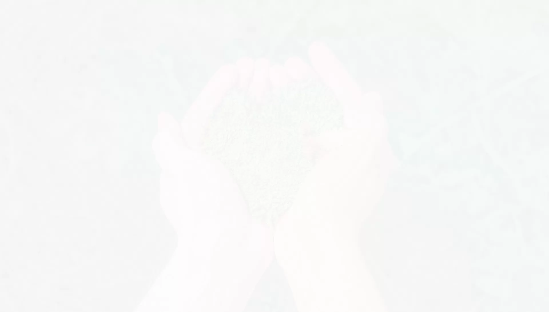 सॉफ्ट लेबल सुरक्षा टैग