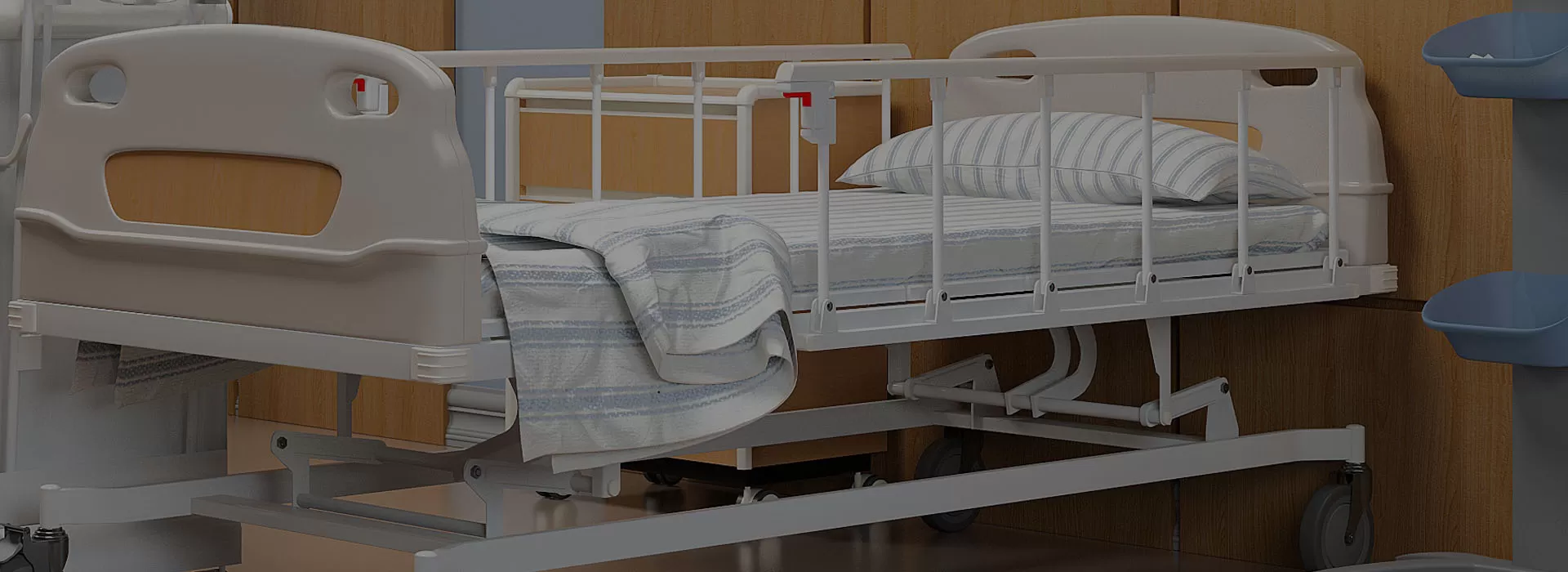 स्वास्थ्य सेवा उद्योग में रैफिड