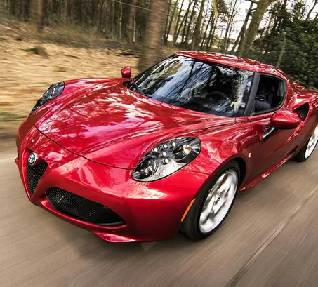 मोटर वाहन उद्योग में रैफिड